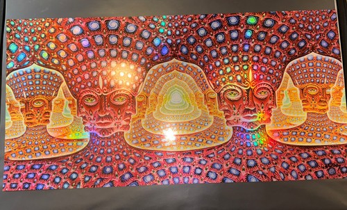 Alex grey net being print - alex,